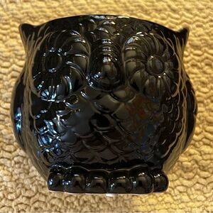 Black Owl Ceramic Accent